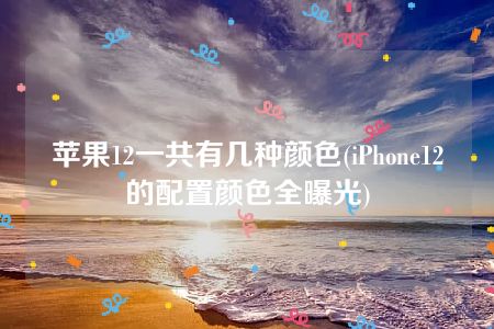 苹果12一共有几种颜色(iPhone12的配置颜色全曝光)