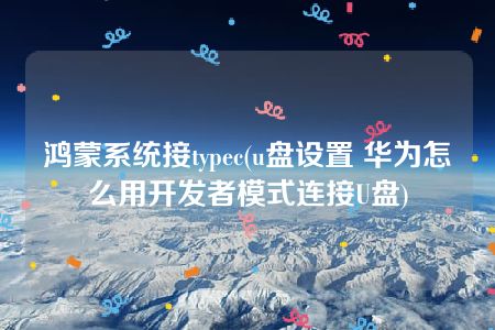 鸿蒙系统接typec(u盘设置 华为怎么用开发者模式连接U盘)