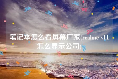 笔记本怎么看屏幕厂家(realme v11怎么显示公司)