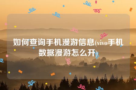 如何查询手机漫游信息(vivo手机数据漫游怎么开)