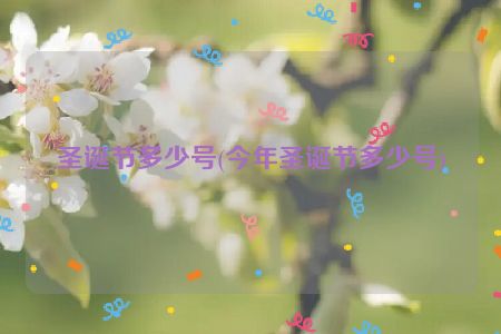 圣诞节多少号(今年圣诞节多少号)