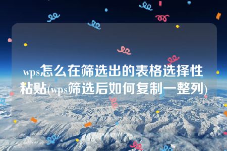 wps怎么在筛选出的表格选择性粘贴(wps筛选后如何复制一整列)