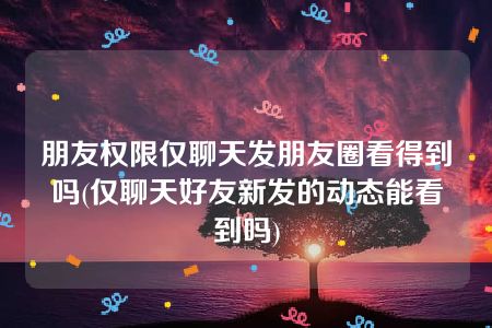 朋友权限仅聊天发朋友圈看得到吗(仅聊天好友新发的动态能看到吗)