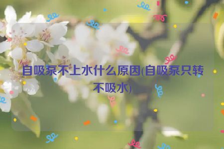 自吸泵不上水什么原因(自吸泵只转不吸水)