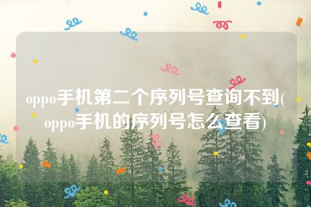 oppo手机第二个序列号查询不到(oppo手机的序列号怎么查看)