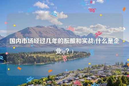 国内市场经过几年的酝酿和实战(什么是企业ip？)