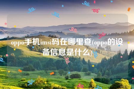 oppo手机imsi码在哪里查(oppo的设备信息是什么)