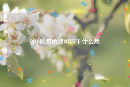 PHP匿名函数可以干什么用