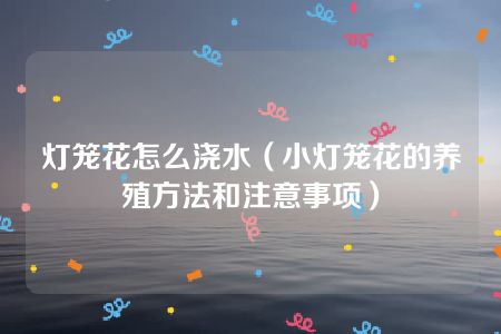 灯笼花怎么浇水（小灯笼花的养殖方法和注意事项）