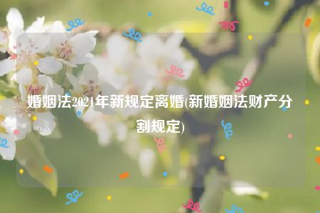 婚姻法2021年新规定离婚(新婚姻法财产分割规定)