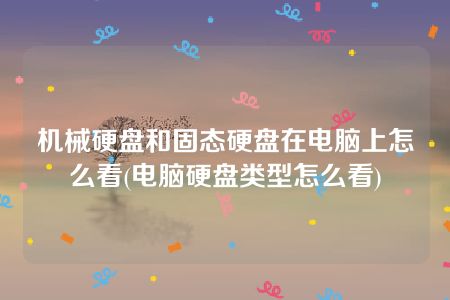 机械硬盘和固态硬盘在电脑上怎么看(电脑硬盘类型怎么看)