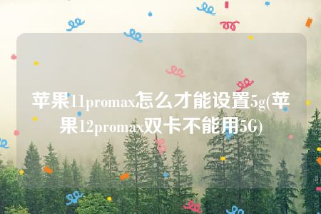 苹果11promax怎么才能设置5g(苹果12promax双卡不能用5G)