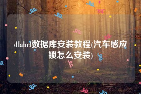 dlabel数据库安装教程(汽车感应锁怎么安装)