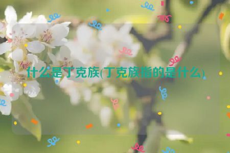 什么是丁克族(丁克族指的是什么)