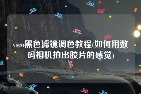 vsco黑色滤镜调色教程(如何用数码相机拍出胶片的感觉)