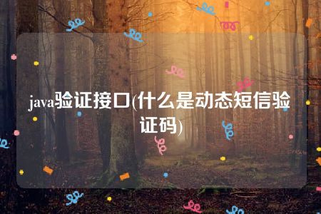 java验证接口(什么是动态短信验证码)