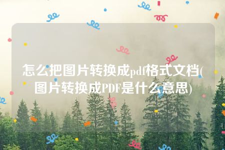 怎么把图片转换成pdf格式文档(图片转换成PDF是什么意思)