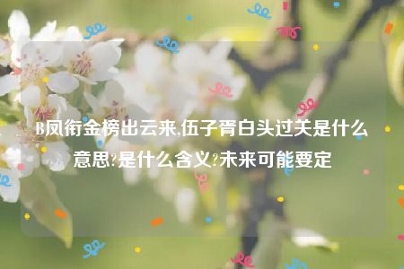 B凤衔金榜出云来,伍子胥白头过关是什么意思?是什么含义?未来可能要定