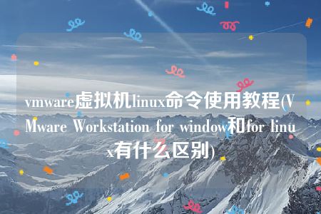 vmware虚拟机linux命令使用教程(VMware Workstation for window和for linux有什么区别)