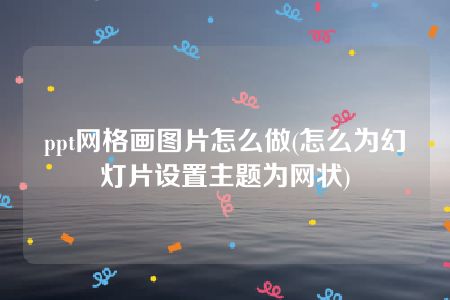 ppt网格画图片怎么做(怎么为幻灯片设置主题为网状)