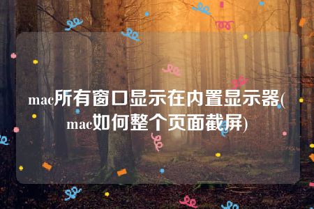 mac所有窗口显示在内置显示器(mac如何整个页面截屏)