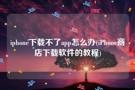 iphone下载不了app怎么办(iPhone商店下载软件的教程)