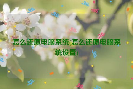 怎么还原电脑系统(怎么还原电脑系统设置)