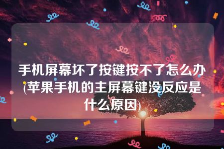 手机屏幕坏了按键按不了怎么办(苹果手机的主屏幕键没反应是什么原因)