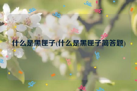 什么是黑匣子(什么是黑匣子简答题)