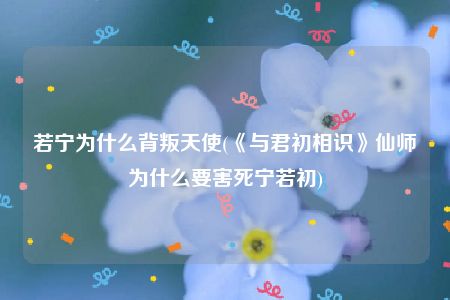 若宁为什么背叛天使(《与君初相识》仙师为什么要害死宁若初)