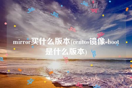 mirror买什么版本(centos镜像-boot是什么版本)