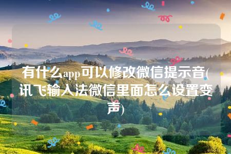 有什么app可以修改微信提示音(讯飞输入法微信里面怎么设置变声)