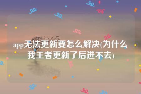 app无法更新要怎么解决(为什么我王者更新了后进不去)