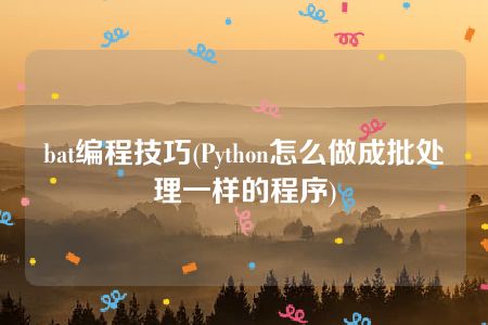 bat编程技巧(Python怎么做成批处理一样的程序)