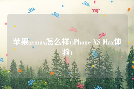 苹果xsmax怎么样(iPhone XS Max体验)