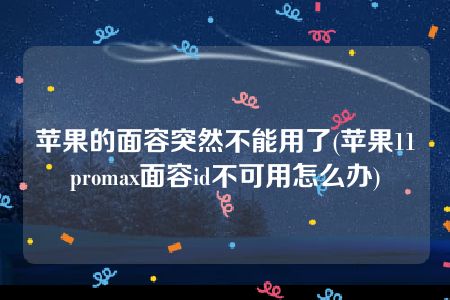 苹果的面容突然不能用了(苹果11promax面容id不可用怎么办)