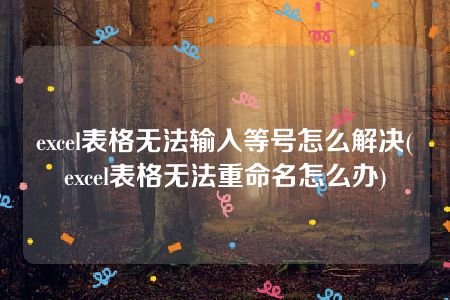 excel表格无法输入等号怎么解决(excel表格无法重命名怎么办)