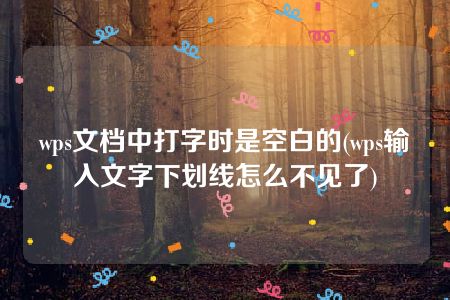 wps文档中打字时是空白的(wps输入文字下划线怎么不见了)