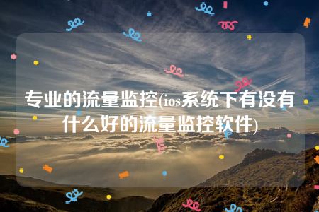 专业的流量监控(ios系统下有没有什么好的流量监控软件)