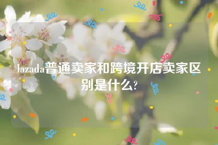 lazada普通卖家和跨境开店卖家区别是什么?