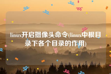 linux开启摄像头命令(linux中根目录下各个目录的作用)