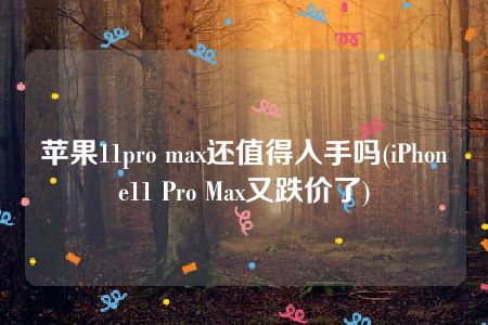 苹果11pro max还值得入手吗(iPhone11 Pro Max又跌价了)