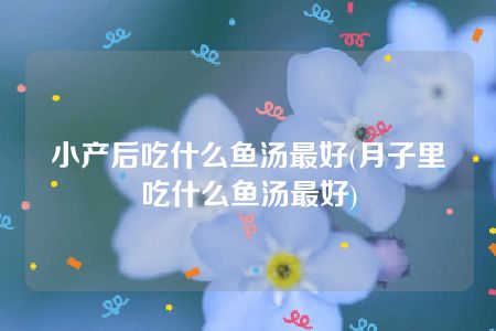 小产后吃什么鱼汤最好(月子里吃什么鱼汤最好)