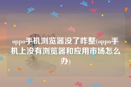 oppo手机浏览器没了咋整(oppo手机上没有浏览器和应用市场怎么办)