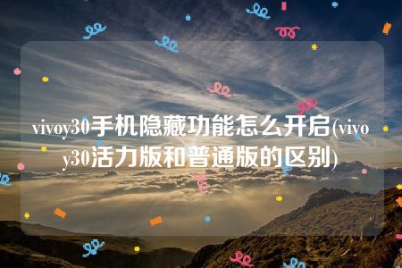 vivoy30手机隐藏功能怎么开启(vivoy30活力版和普通版的区别)