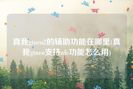 真我gtneo2的辅助功能在哪里(真我gtneo支持nfc功能怎么用)