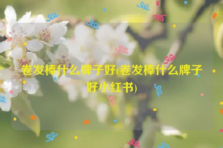 卷发棒什么牌子好(卷发棒什么牌子好小红书)