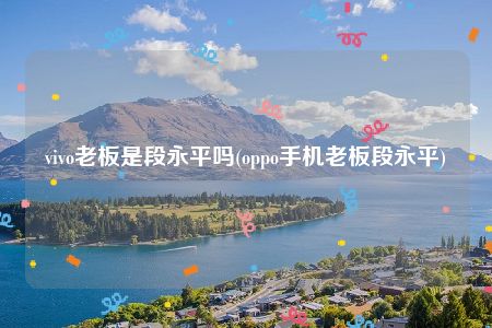 vivo老板是段永平吗(oppo手机老板段永平)