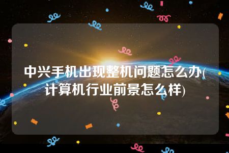 中兴手机出现整机问题怎么办(计算机行业前景怎么样)