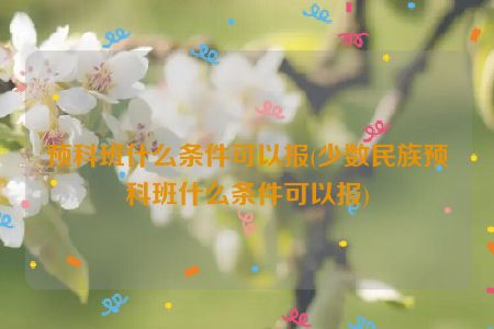 预科班什么条件可以报(少数民族预科班什么条件可以报)